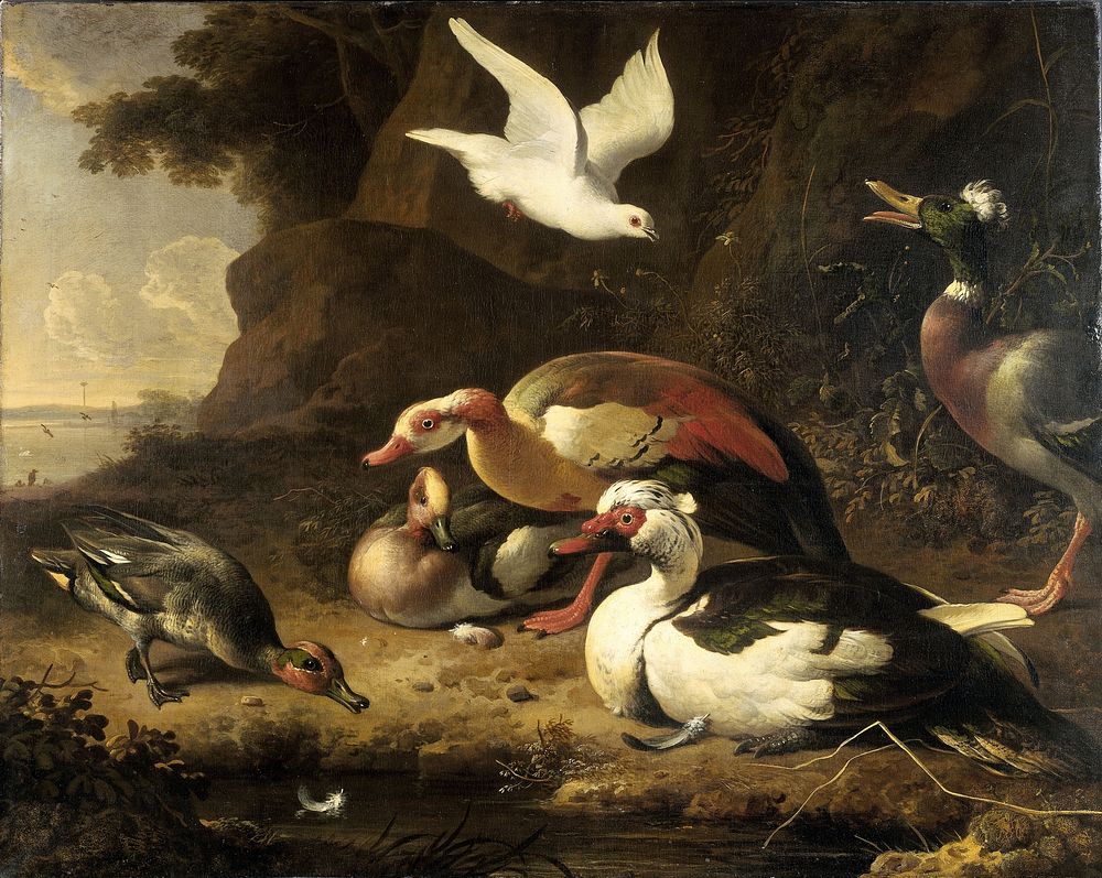 Ducks (c. 1675 - c. 1680) by Melchior d Hondecoeter