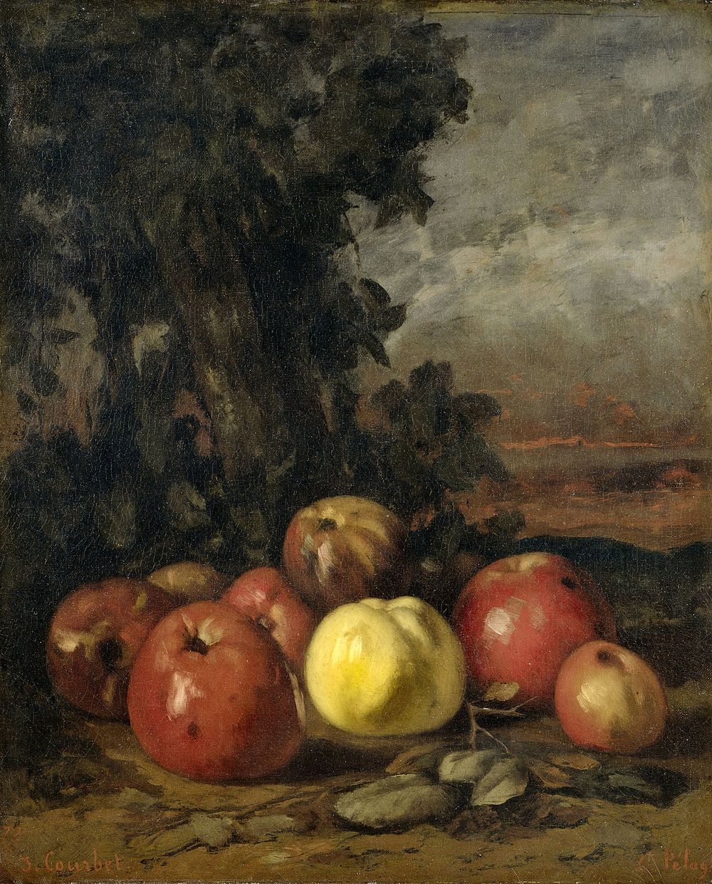Still Life with Apples (1871 - 1872) by Gustave Courbet