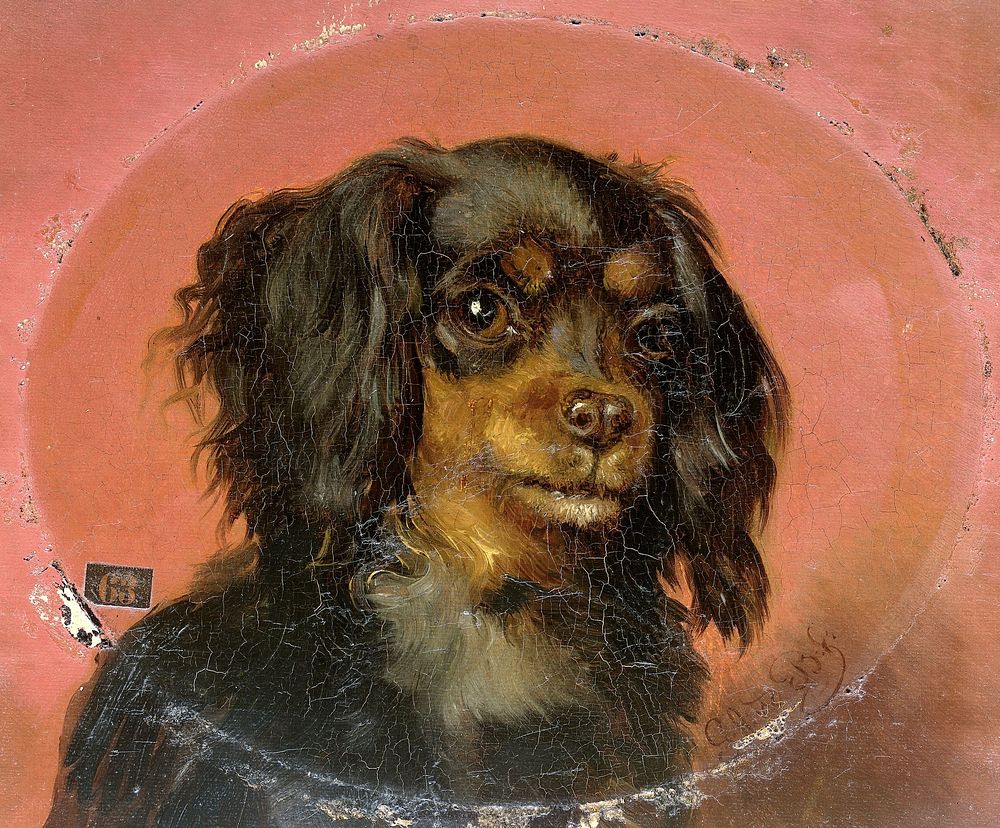 Portrait of a Puppy (1850 - 1891) by Guillaume Anne van der Brugghen