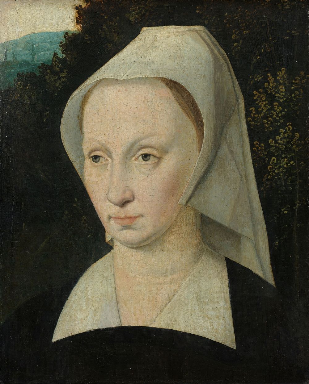 Portrait of a woman (c. 1540 - c. 1550) by anonymous