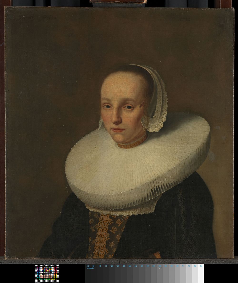 Portrait of Anna van der Does (1609-1650) (1642) by Paulus Hennekyn