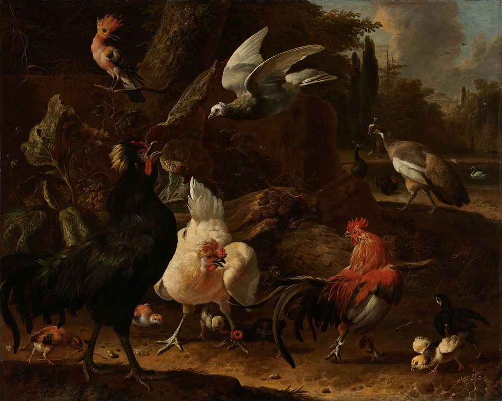 Birds in a Park (1686) by Melchior d Hondecoeter