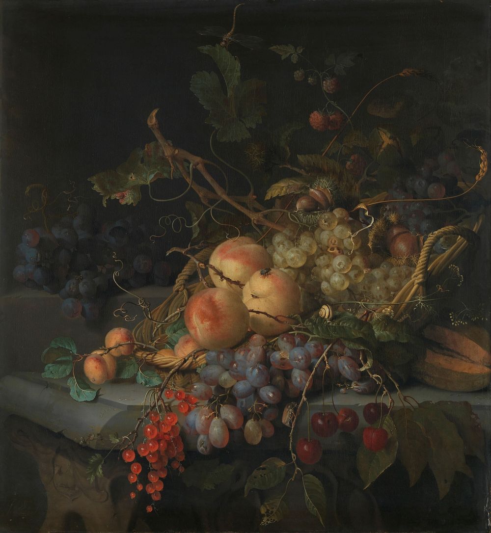 Still Life with Fruit (c. 1670 - c. 1727) by Jacob van Walscapelle