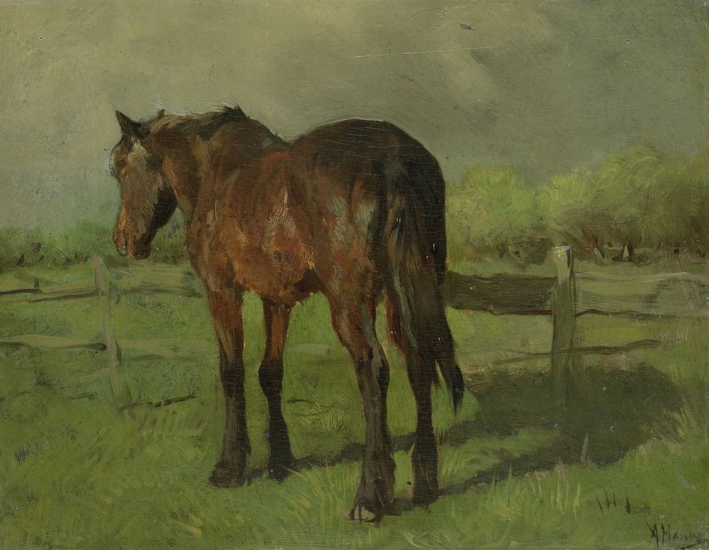 Paard (1860 - 1888) by Anton Mauve