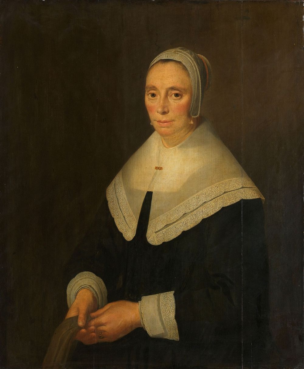 Portrait of a Woman (1650) by Hendrick Cornelisz van Vliet