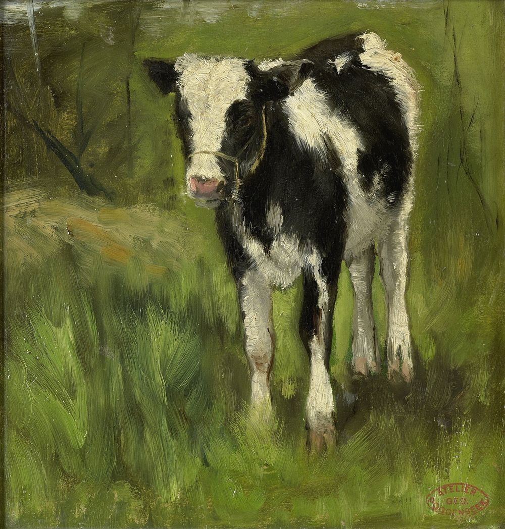 Calf, spotted black and white (c. 1873 - c. 1903) by Geo Poggenbeek