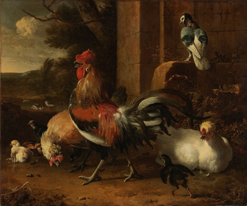 A Poultry Yard (c. 1660 - c. 1665) by Melchior d Hondecoeter