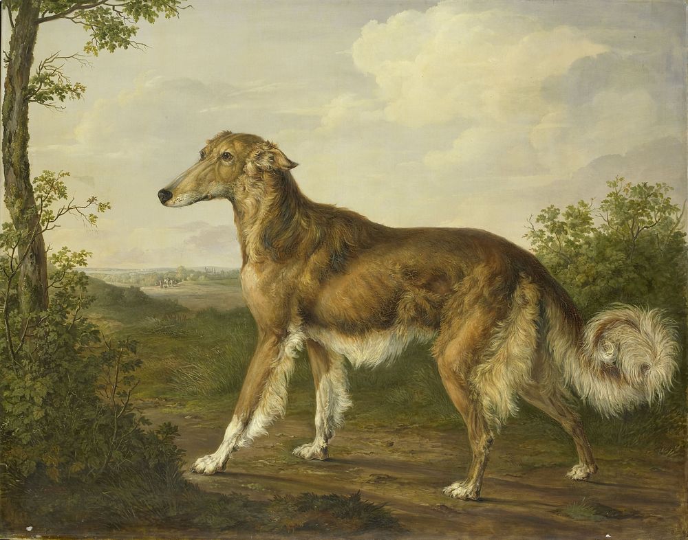 Siberian Greyhound (c. 1825) by Jan Dasveldt