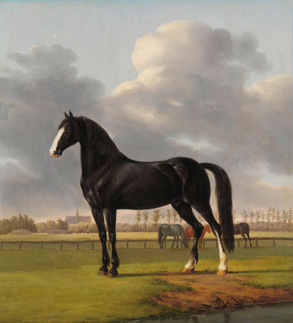 Adriaan van der Hoop’s Trotter ‘De Vlugge’ (The Fast One) in a Meadow (1828) by Anthony Oberman