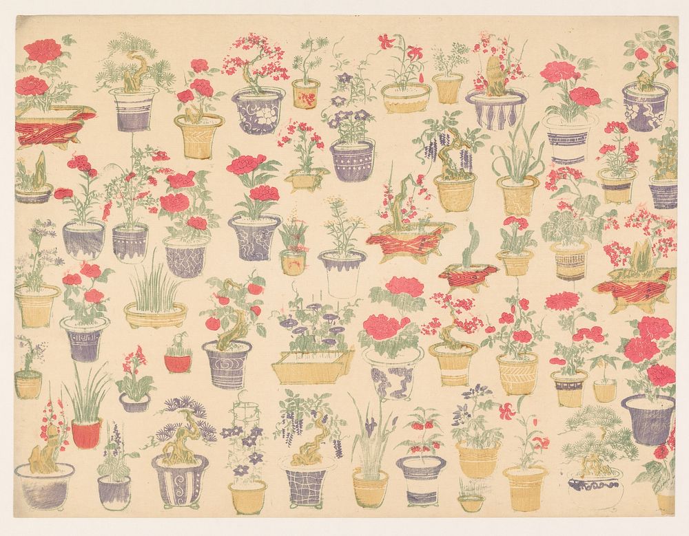Patroon van potten met verschillende planten (1860 - 1930) by anonymous