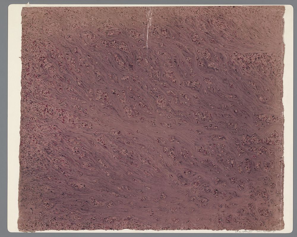Stroommarmer in rood en zwart op roze papier (1850 - 1950) by anonymous