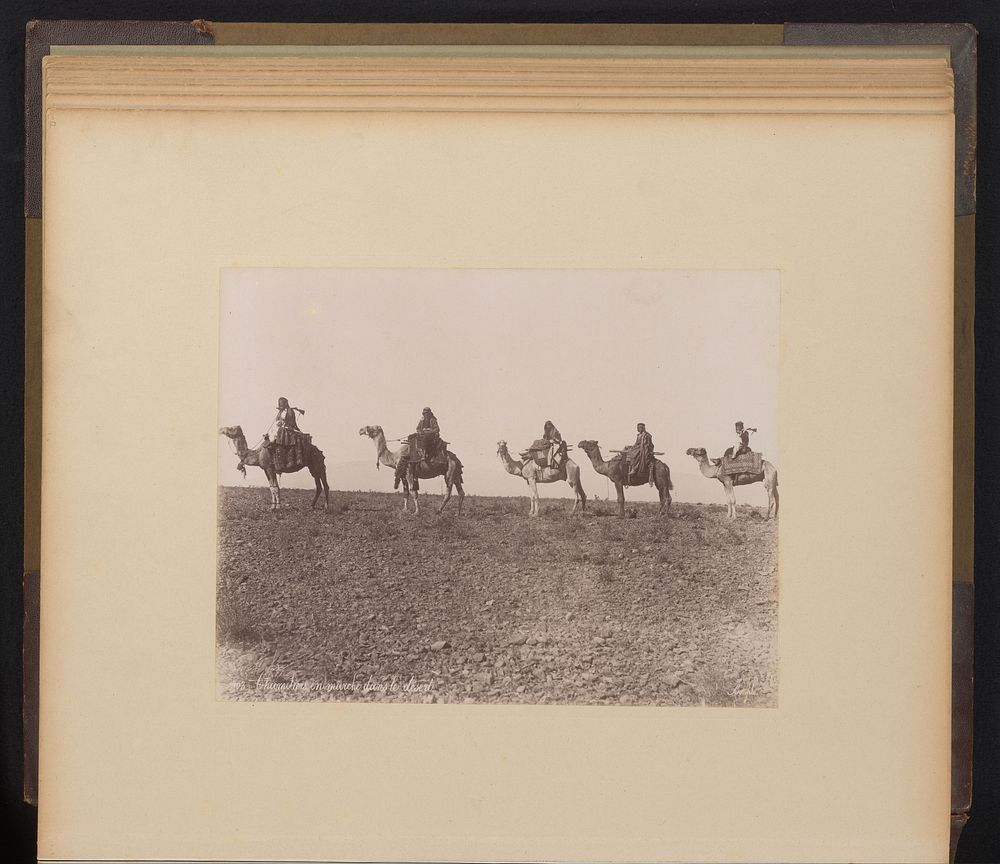 Mannen op dromedarissen in de woestijn (1867 - 1885) by Félix Bonfils