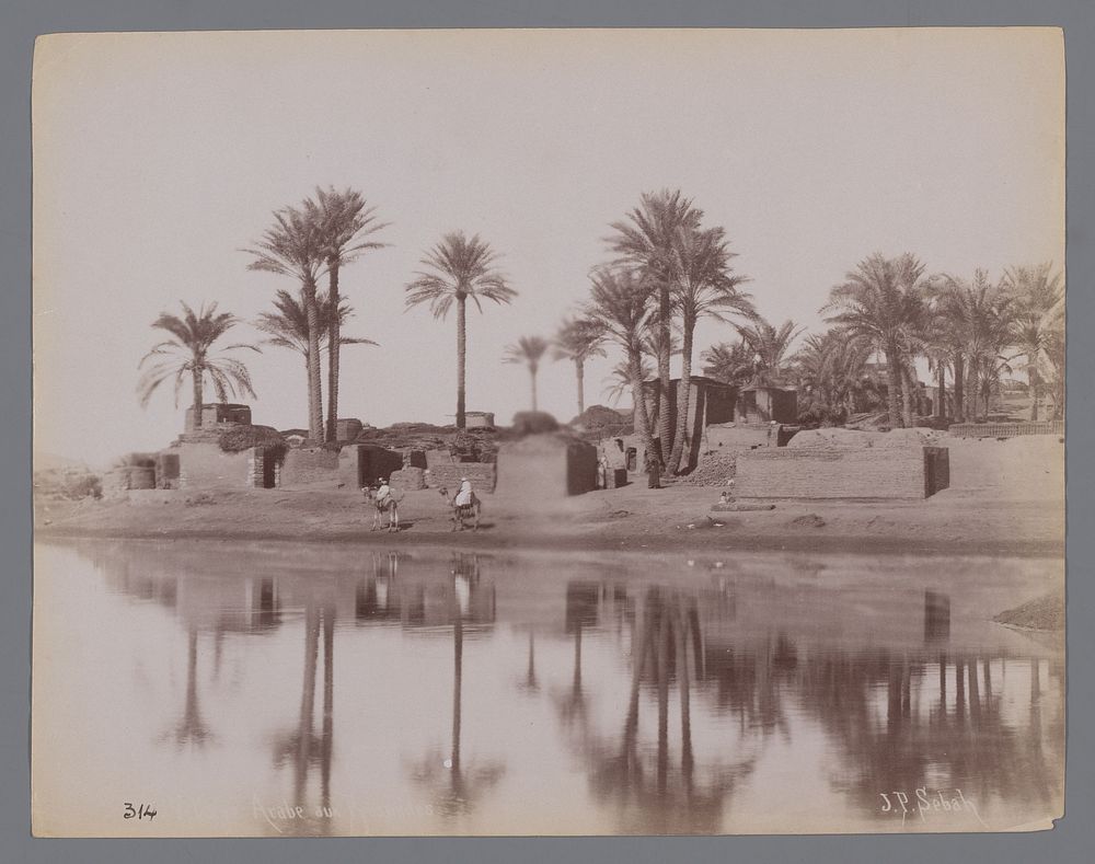 Landschap met water, palmbomen en gebouwen, Midden-Oosten (c. 1880 - c. 1900) by Pascal Sébah