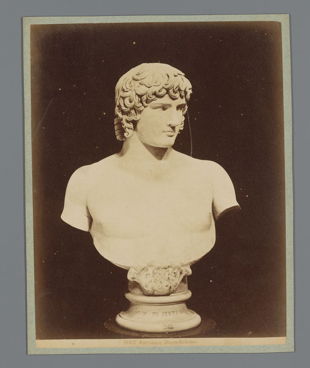 Buste van Antinoüs (1851 - c. 1900) by anonymous