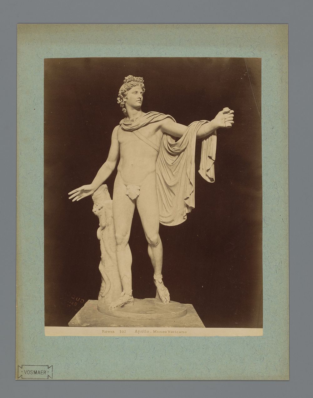 Standbeeld Apollo van Belvedère in de Vaticaanse Musea te Vaticaanstad, Italië (1851 - 1890) by anonymous and anonymous