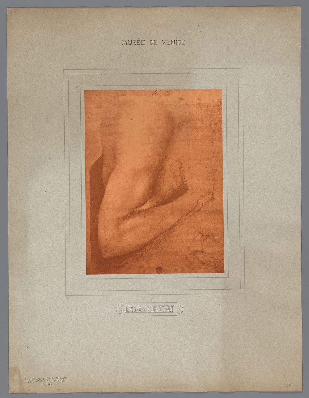 Fotoreproductie van een tekening van Leonardo da Vinci (studie van een arm) (1880 - 1900) by Adolphe Braun and Cie