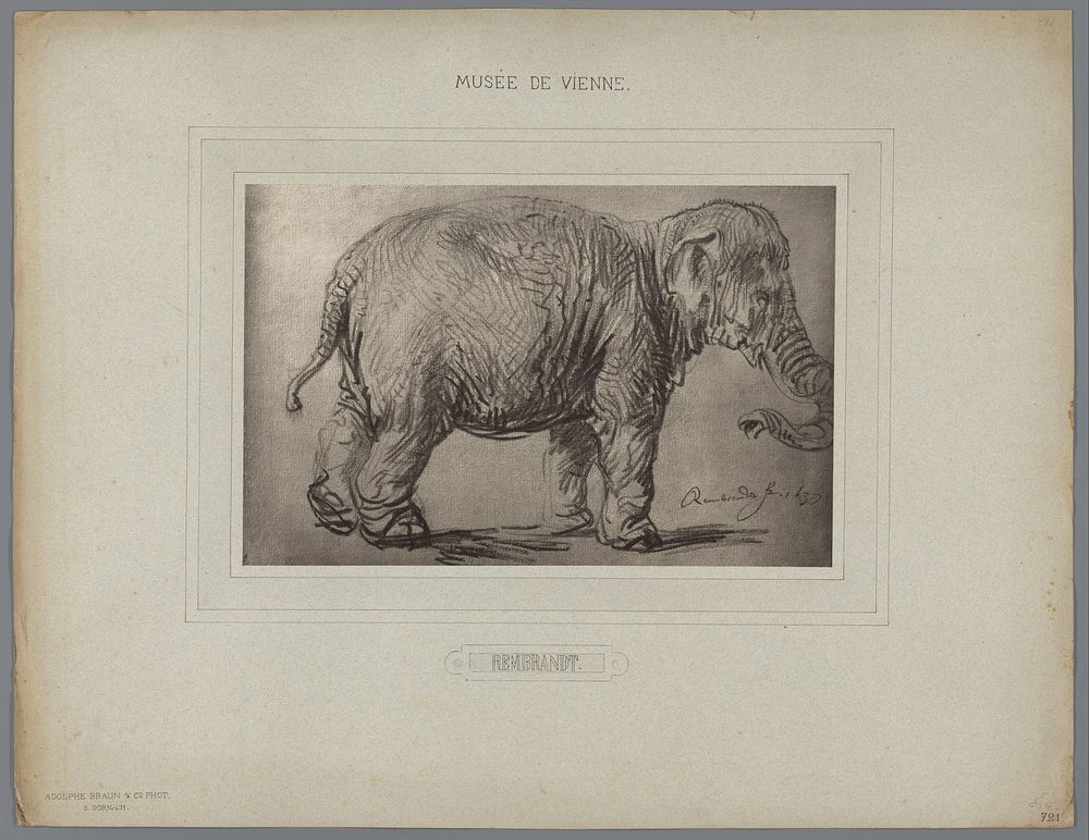 Fotoreproductie van een tekening van Rembrandt (olifant) (1880 - 1900) by Adolphe Braun and Cie