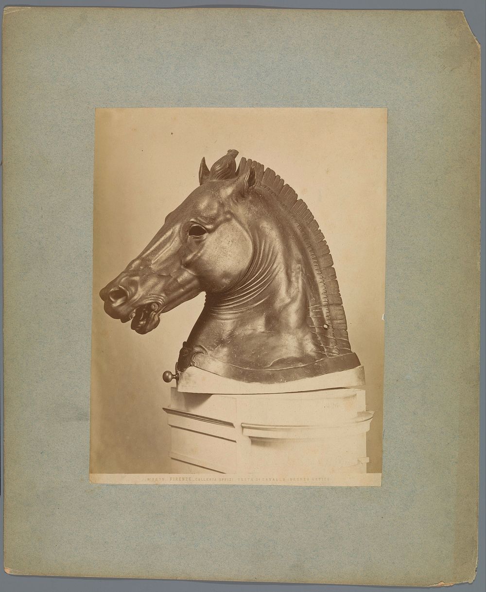 Bronzen hoofd van een paard uit de Uffizi te Florence (c. 1875 - c. 1900) by Alinari