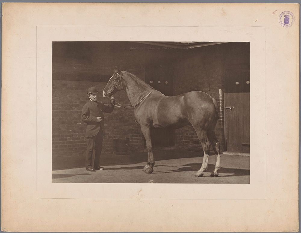 Man met paard (c. 1875 - c. 1900) by anonymous