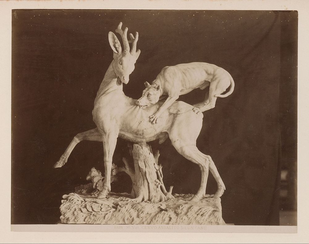 Sculptuur van hert dat aangevallen wordt door een hond, Vaticaan (c. 1857 - c. 1875) by James Anderson and anonymous