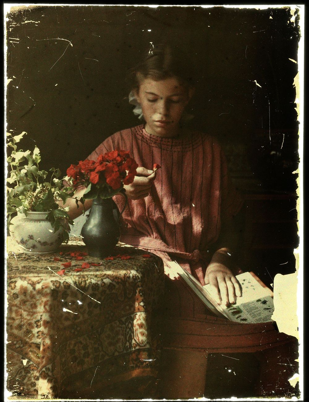 Meisje dat bloemblaadjes determineert (1907 - 1930) by anonymous
