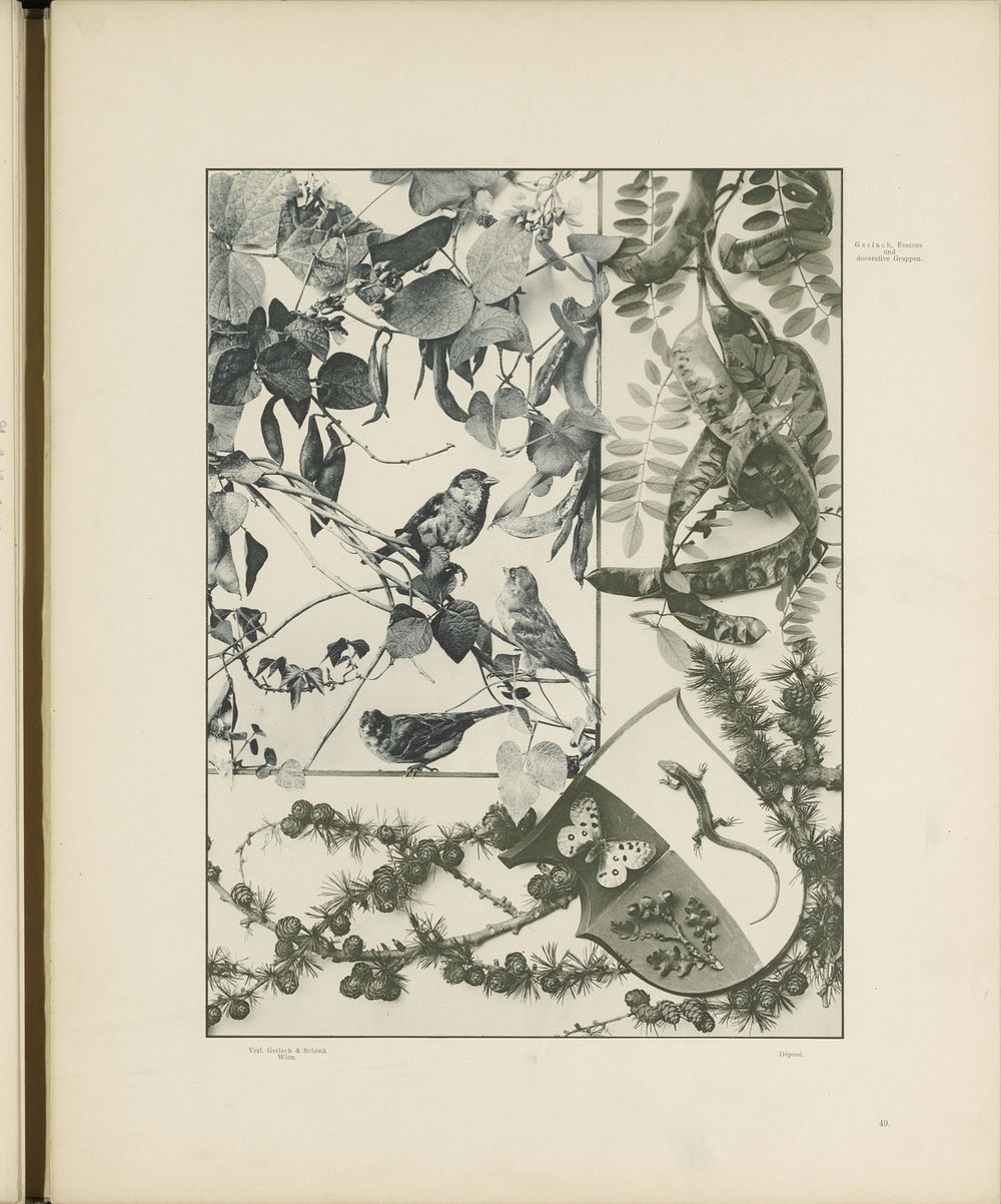 Vlakken met dennentakken, vogels en een wapenschild (c. 1887 - in or before 1897) by anonymous and Gerlach and Schenk