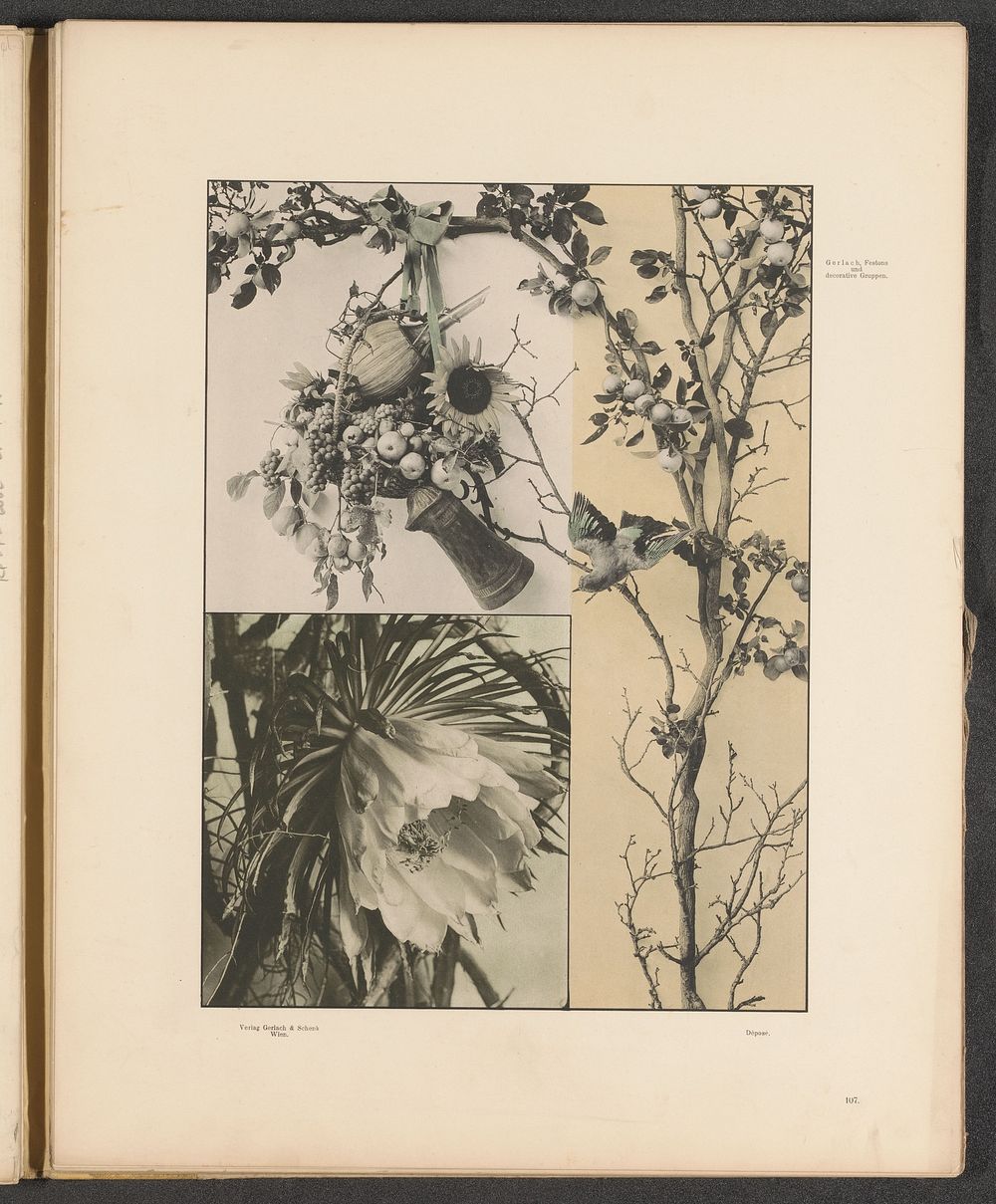 Hangwerk met fruit, een zonnebloem en een kan en een koningin van de nacht (c. 1887 - in or before 1897) by anonymous and…