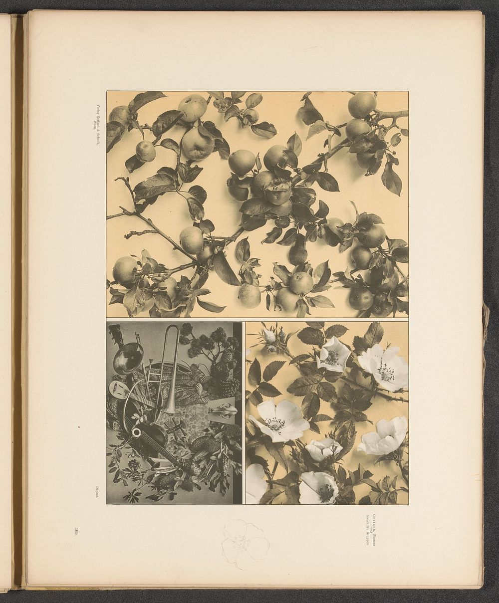 Vlakken met heggenrozen, appelboomtakken en een festoen met muziekinstrumenten (c. 1887 - in or before 1897) by anonymous…