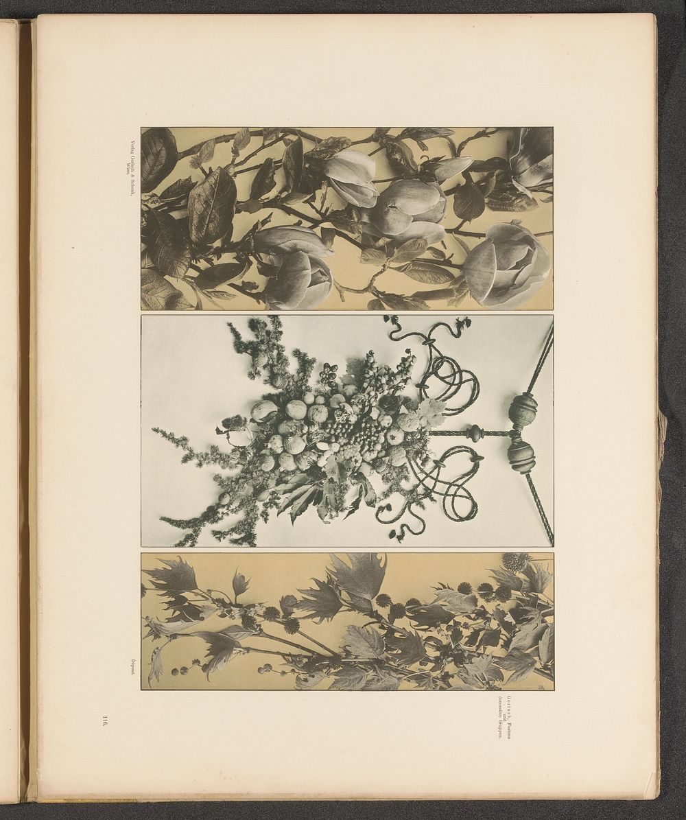 Drie vlakken met tulpen, plataan en een festoen met fruit (c. 1887 - in or before 1897) by anonymous and Gerlach and Schenk