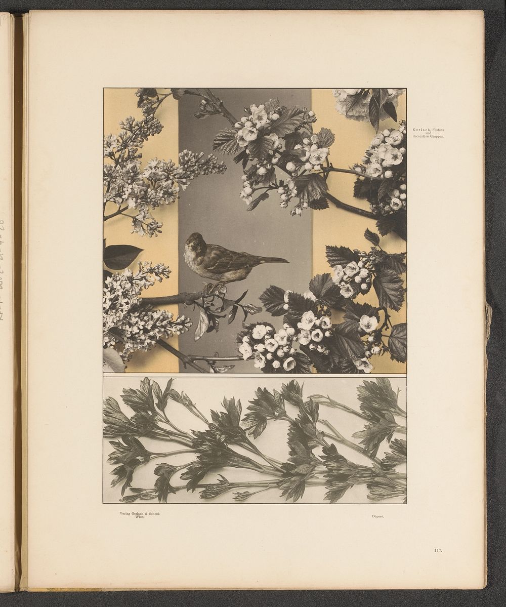 Vlakken met scheuten van pioenrozen, kersenbloesem en een vogel (c. 1887 - in or before 1897) by anonymous and Gerlach and…