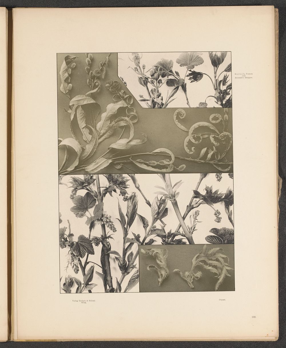 Vlakken met esdoornbladeren, aalbessen, pimpernoot en klaproosbladeren (c. 1887 - in or before 1897) by anonymous and…