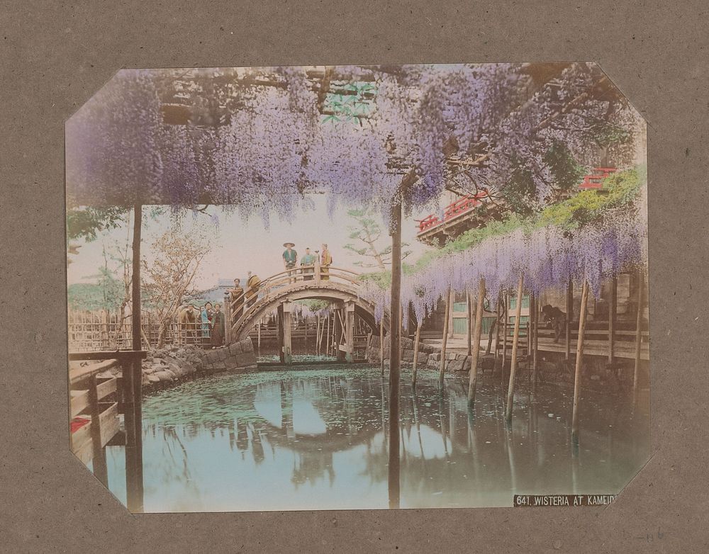 Mensen op een brug, met op de voorgrond bloeiende blauweregen, in Kameido, Tokyo, Japan (c. 1890 - in or before 1903) by…