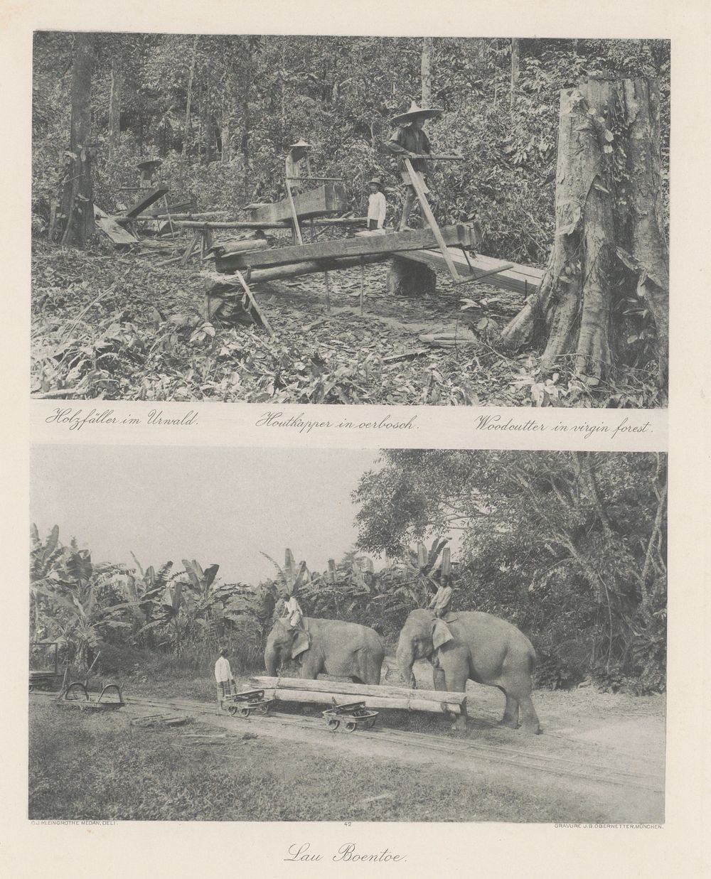 Houtzagers in een bos (boven) en houttransport met olifanten bij Lau Boentoe (onder) op Sumatra (in or before 1898) by Carl…