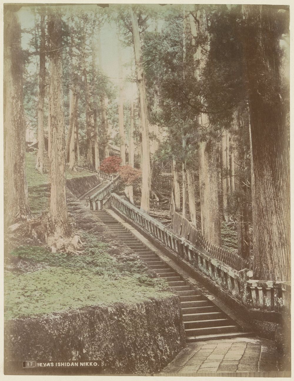 Houten trap in een bos, vermoedelijk bij een tempel in Nikko (c. 1870 - c. 1900) by anonymous