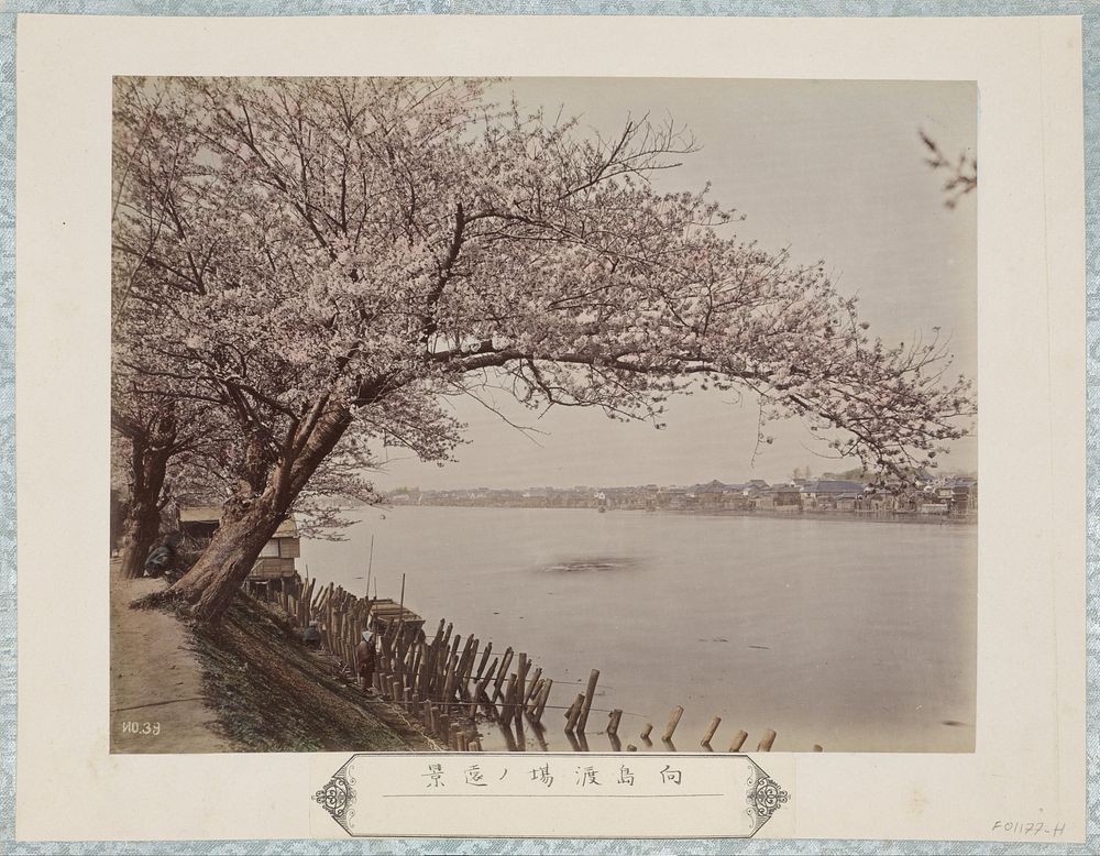 Gezicht op een aanlegpunt bij Mukaijima in Kyoto (c. 1870 - c. 1900) by anonymous