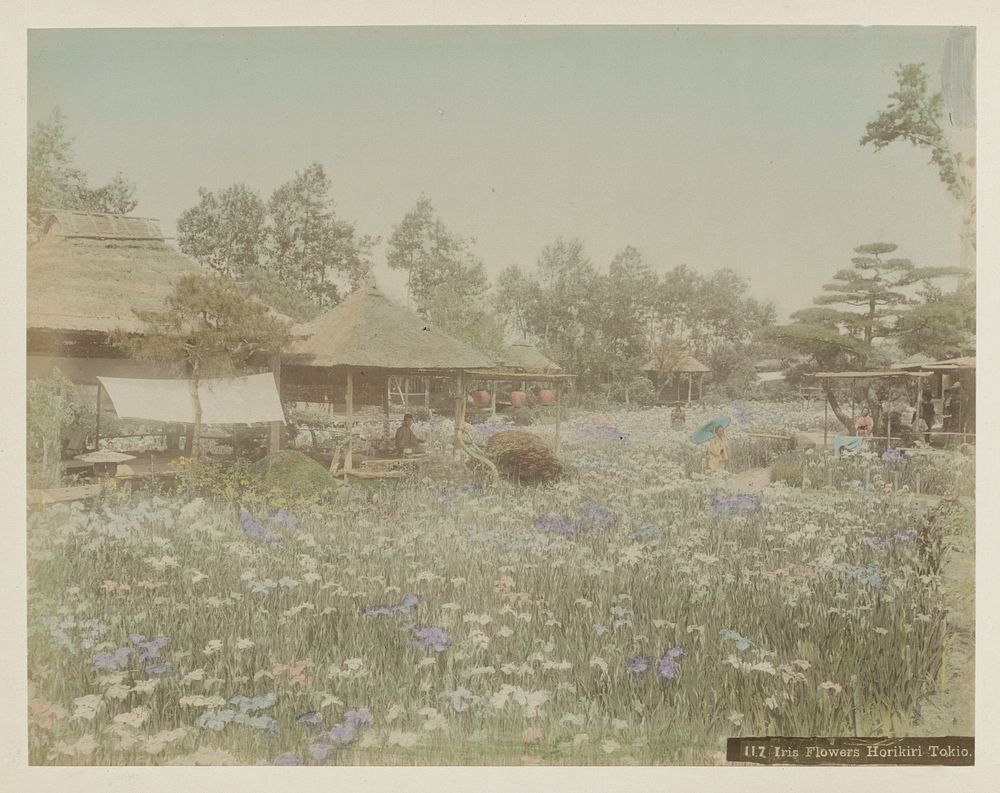 Mensen in een veld met irissen in Horikiri bij Tokyo (c. 1870 - c. 1900) by anonymous