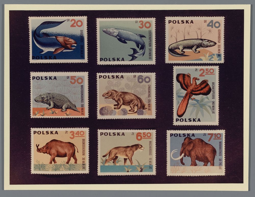 Fotoreproductie van een serie van negen postzegels uit Polen met als thema de ontwikkeling van de gewervelde dieren (1966)…