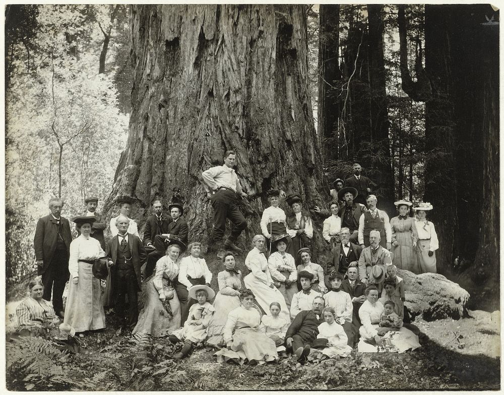 Leden van de Sempervirens Club voor een kustmammoetboom in Big Basin State Park genaamd 'Monarch' (1900 - 1922) by Andrew P…