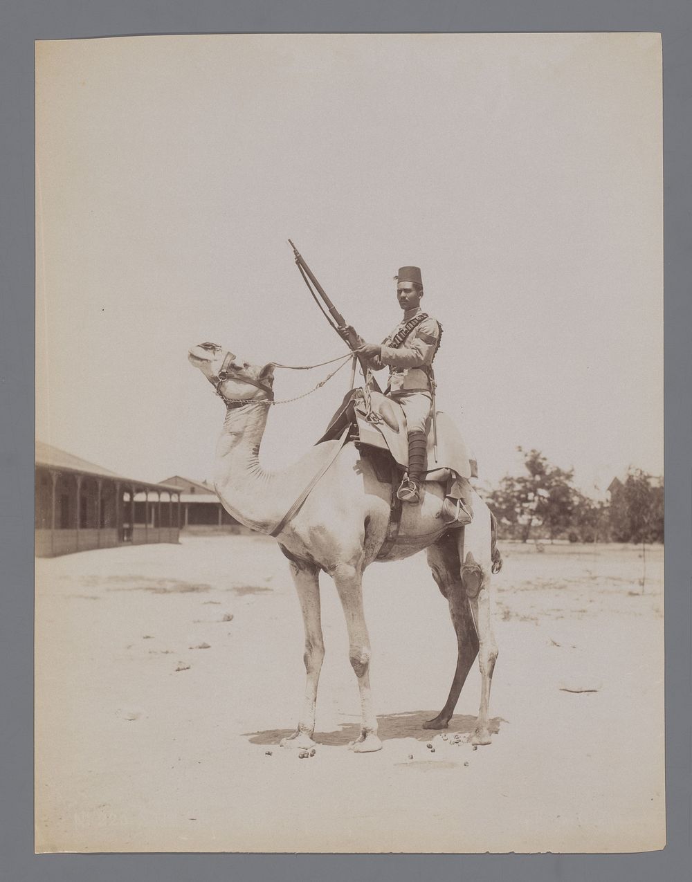 Militair op een kameel, vermoedelijk in Egypte (1860 - 1900) by anonymous