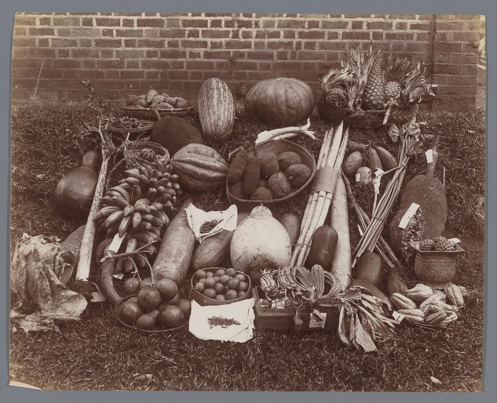 Stilleven van vruchten en groenten die op Ceylon groeien (1890 - 1910) by A W A Plâté and Co