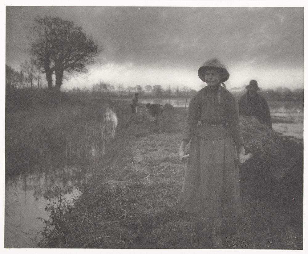 Haymaking in Norfolk Broads (1885 - 1886) by Peter Henry Emerson and Marston Searle  and Rivington Sampson Low