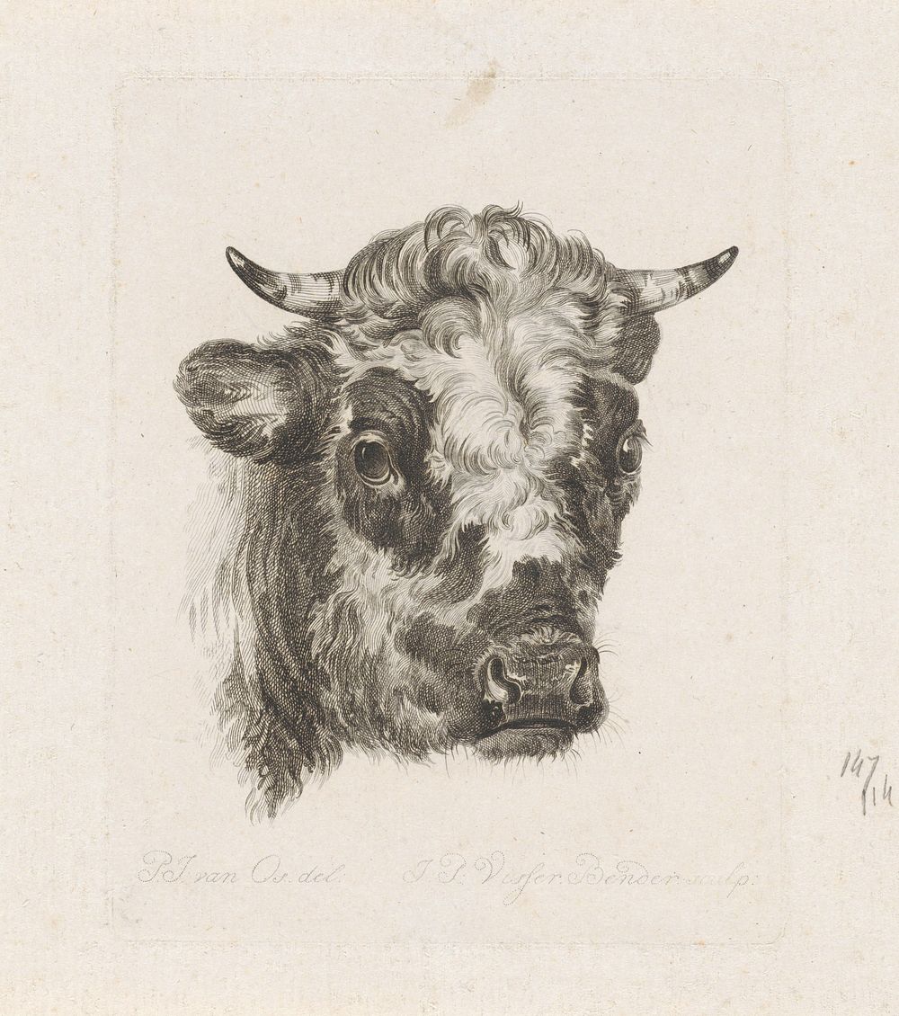 Stierenkop (1795 - 1813) by Joannes Pieter Visser Bender and P J van Os