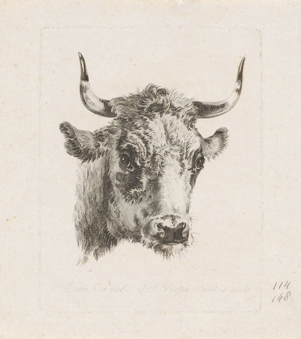 Koeienkop (1795 - 1813) by Joannes Pieter Visser Bender and P J van Os