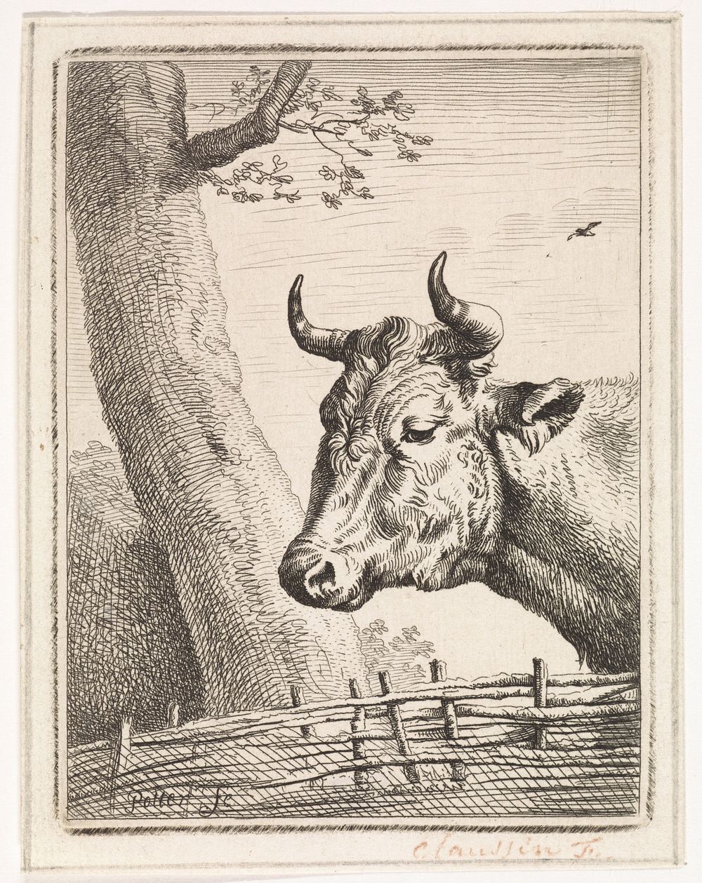 Kop van een koe (1805 - 1844) by Ignace Joseph de Claussin and Paulus Potter