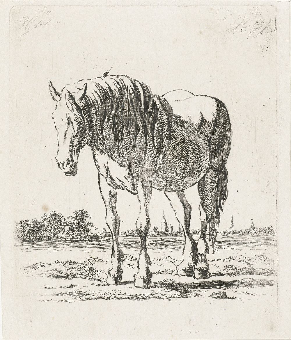 Staand wit paard (1860) by Jacobus Cornelis Gaal and Pieter Gaal