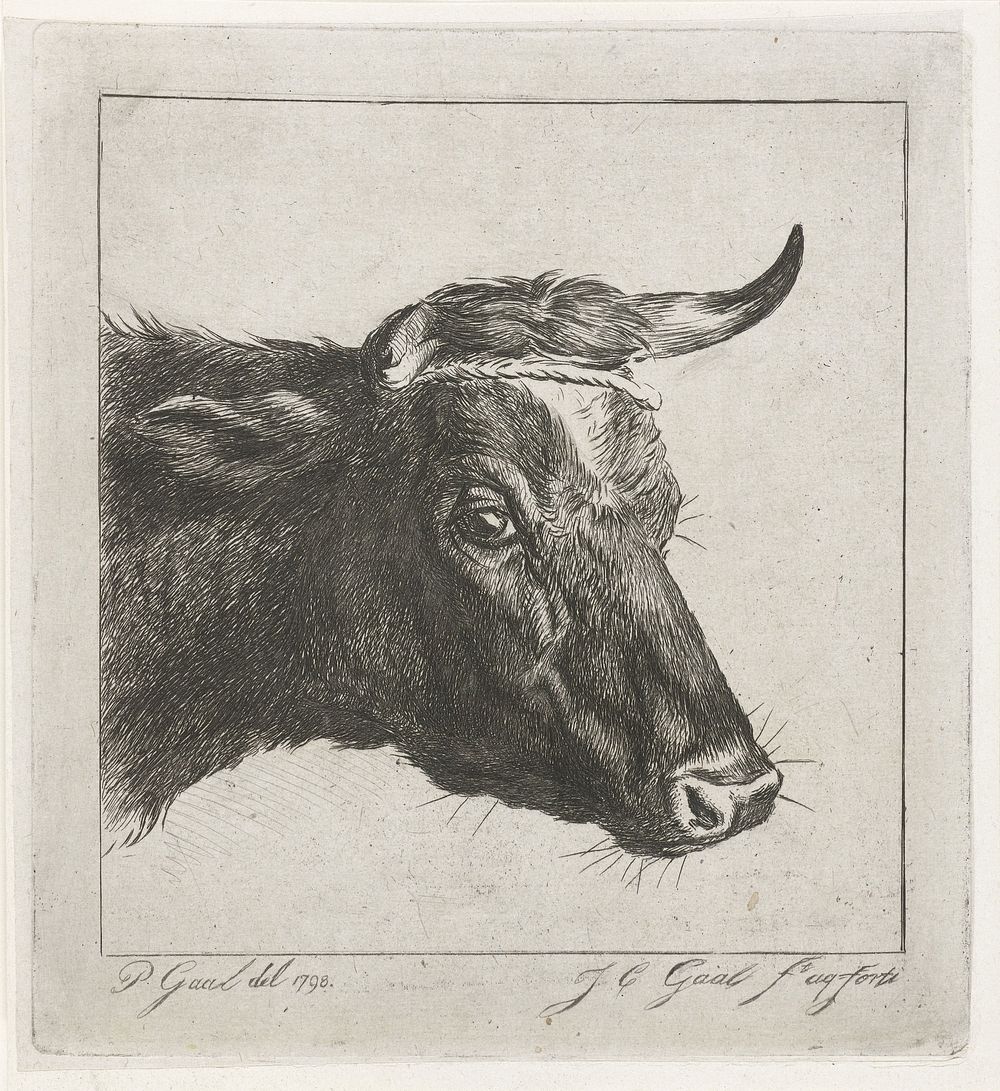 Kop van een koe met touw om de horens (1854) by Jacobus Cornelis Gaal and Pieter Gaal