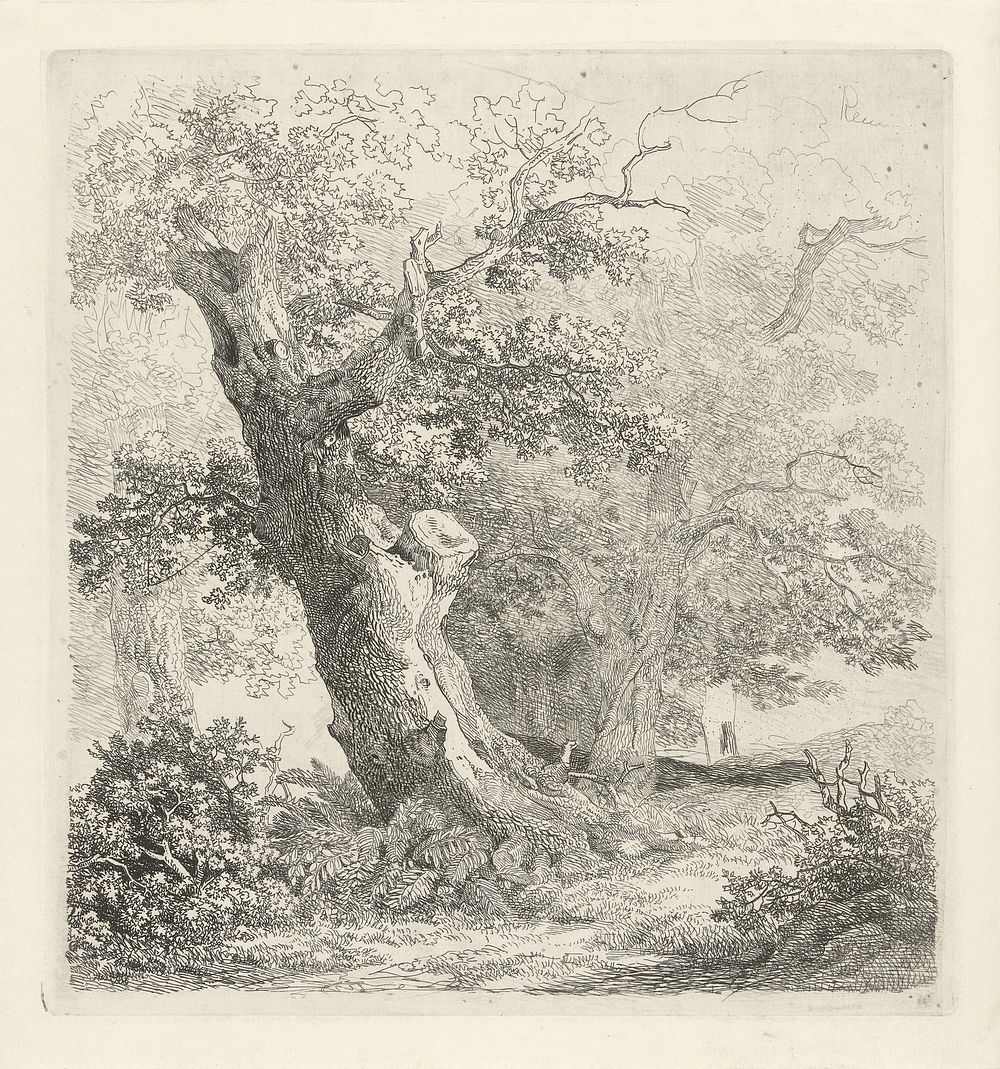 Boom in een landschap (c. 1827 - in or before 1848) by Remigius Adrianus Haanen