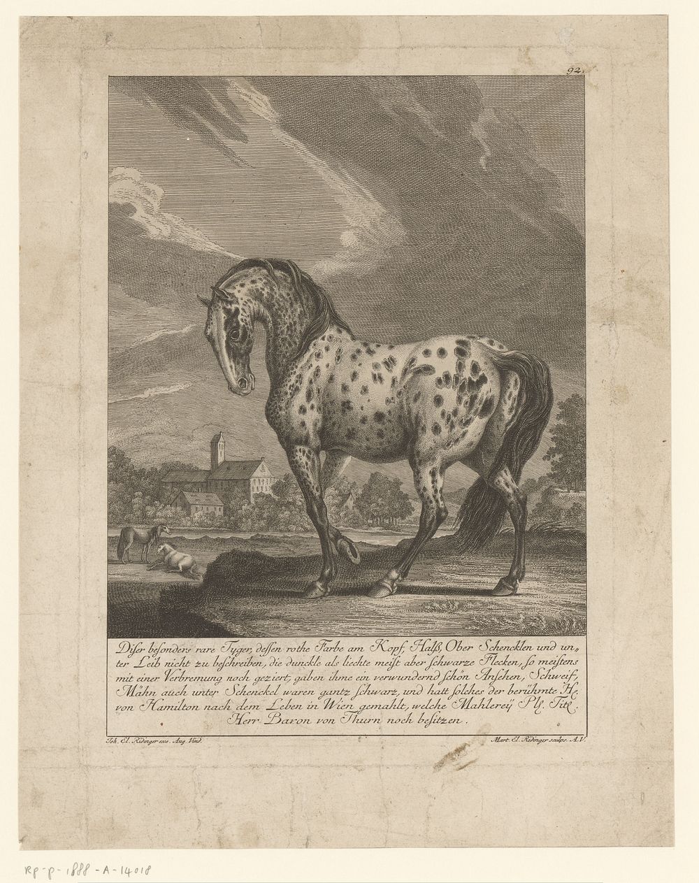 Bijzondere tijgerschimmel (1740 - 1780) by Martin Elias Ridinger, Hugh Douglas Hamilton and Johann Elias Ridinger