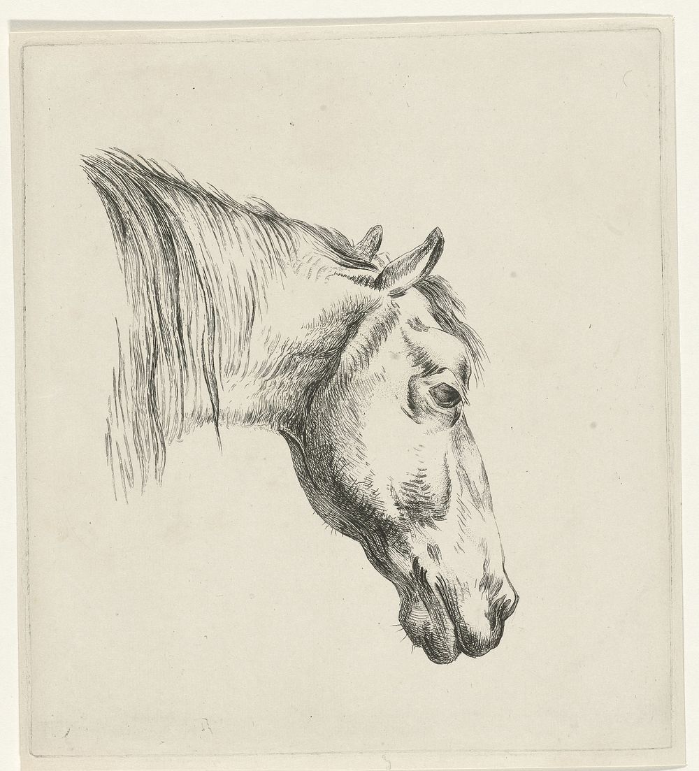 Hoofd van een paard (1796 - 1856) by Reinierus Albertus Ludovicus baron van Isendoorn à Blois and Jan Kobell