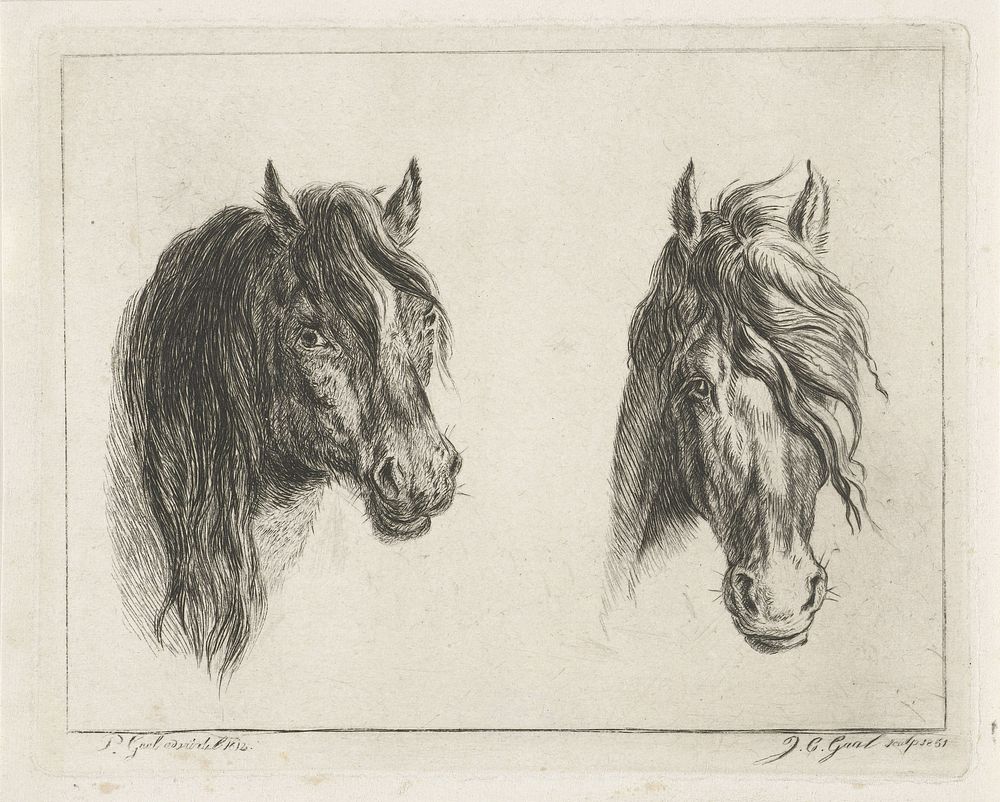 Twee paardenhoofden (1851) by Jacobus Cornelis Gaal and Pieter Gaal